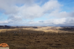 Aubrac_Lozere_2020-17