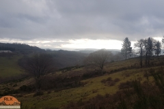 Aubrac_Lozere_2020-2