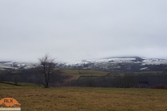 Aubrac_Lozere_2020-23