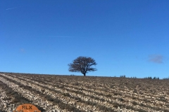 Plateau d'Albion Décembre 2019