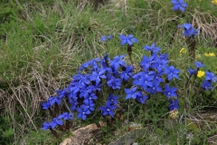 Tende-Mercantour_28