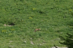 Tende-Mercantour_38